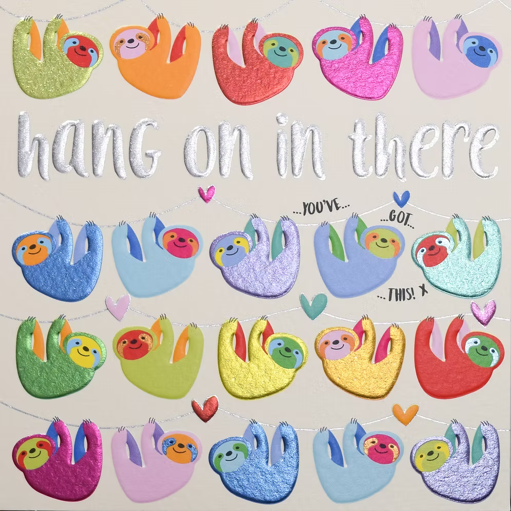 Wendy Jones-Blackett Hang on in There (Sloths)