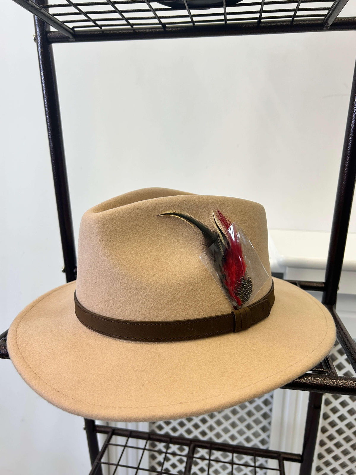 Structured Fedora with Feather Detail