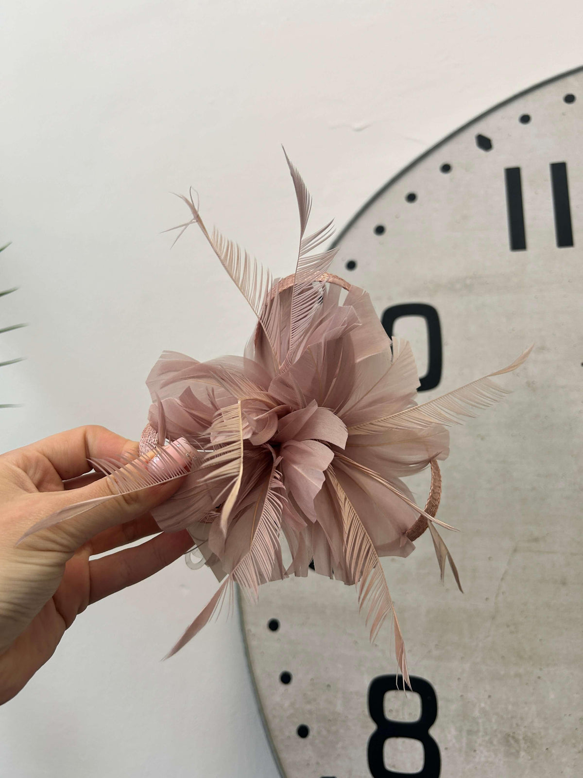 Charlotte Fascinator Clip