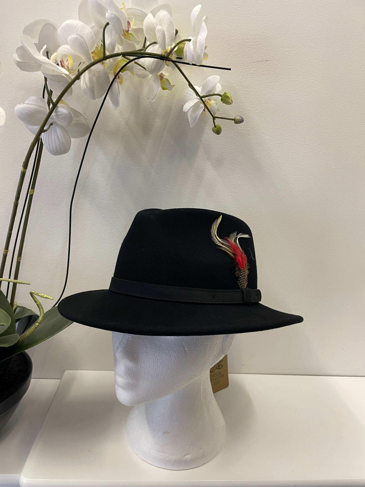 Structured Fedora with Feather Detail