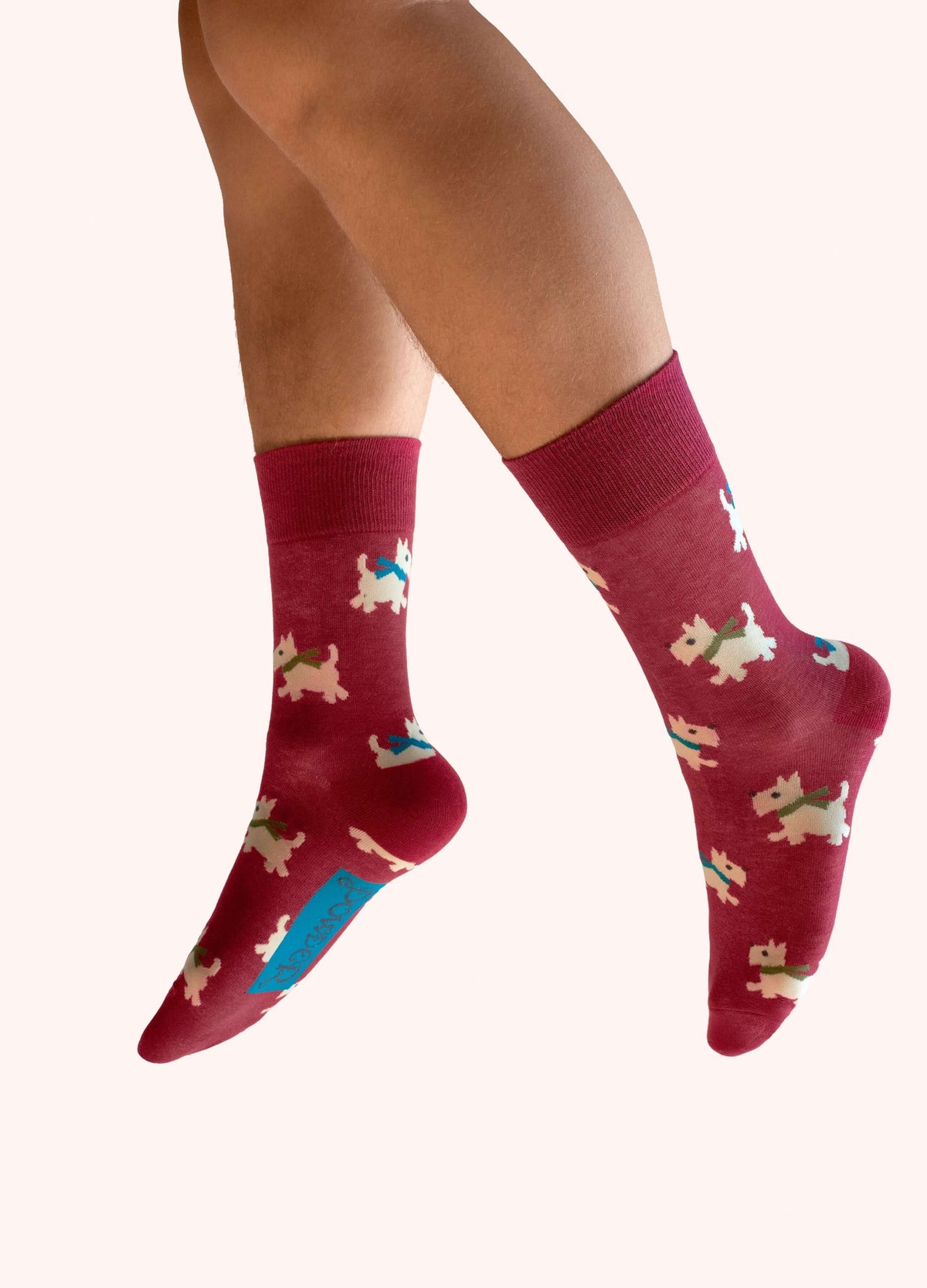Powder Design Men's socks - Wooly Westie