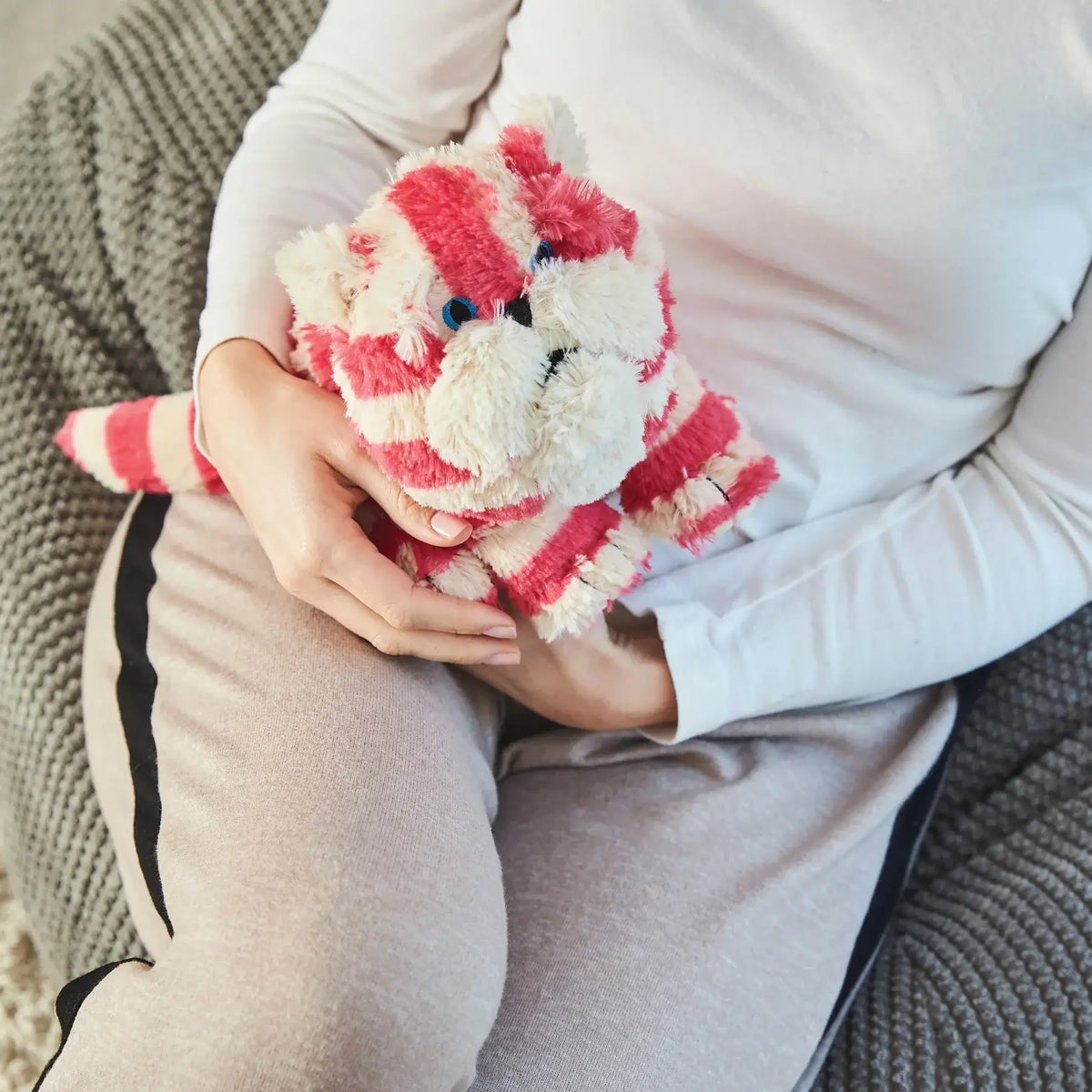 Warmies® Microwavable Lavender Toy - Bagpuss® Cat