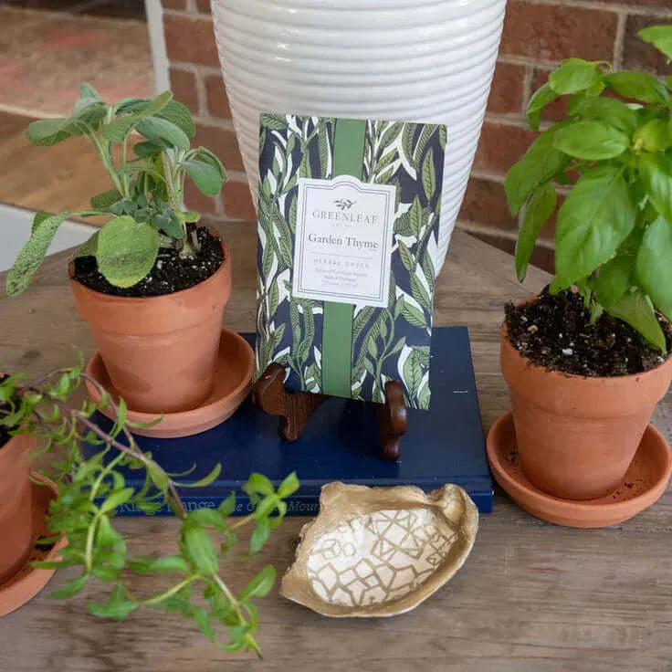 Greenleaf 'Garden Thyme' Large Scented Sachet