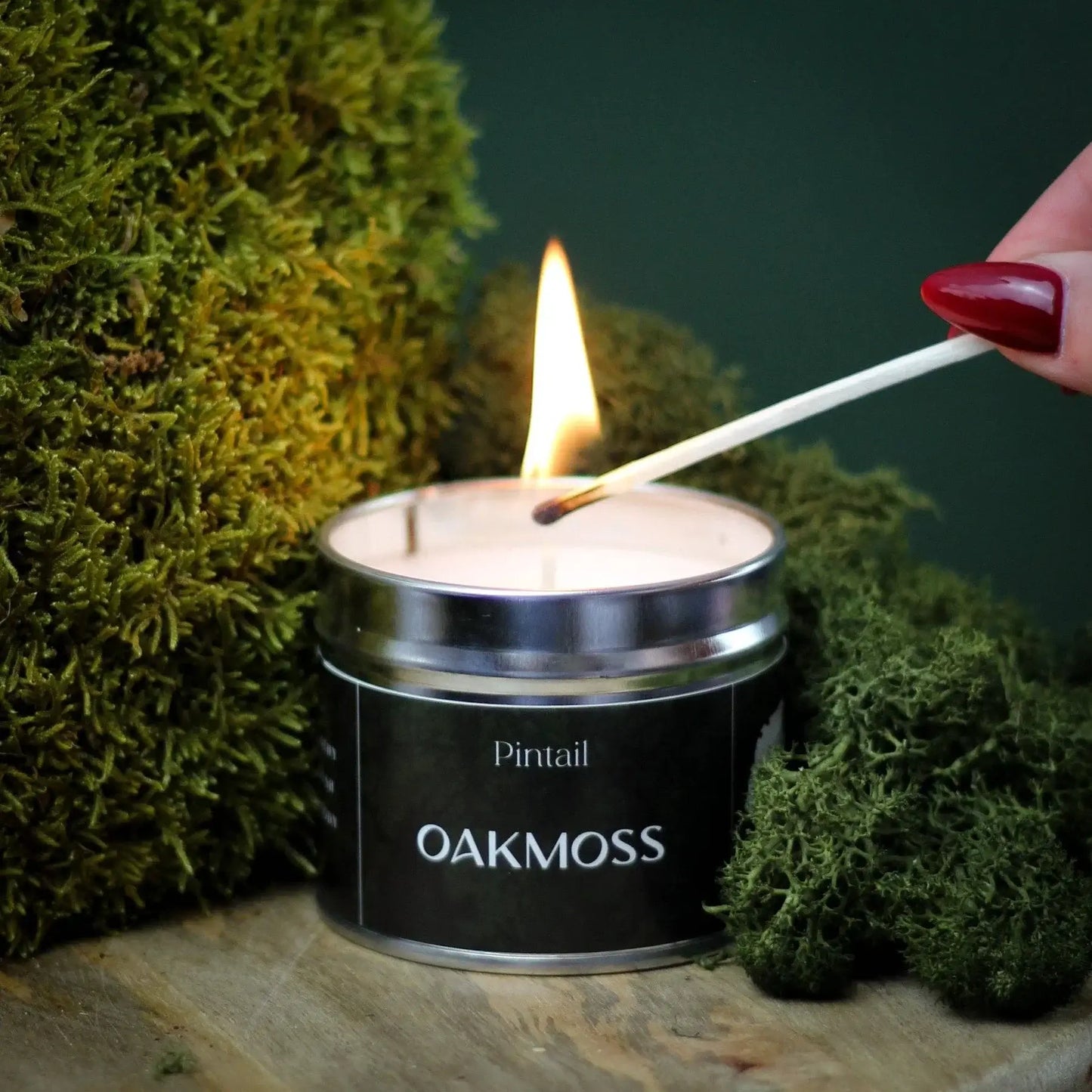 Pintail Candles - Oakmoss Classic Pot