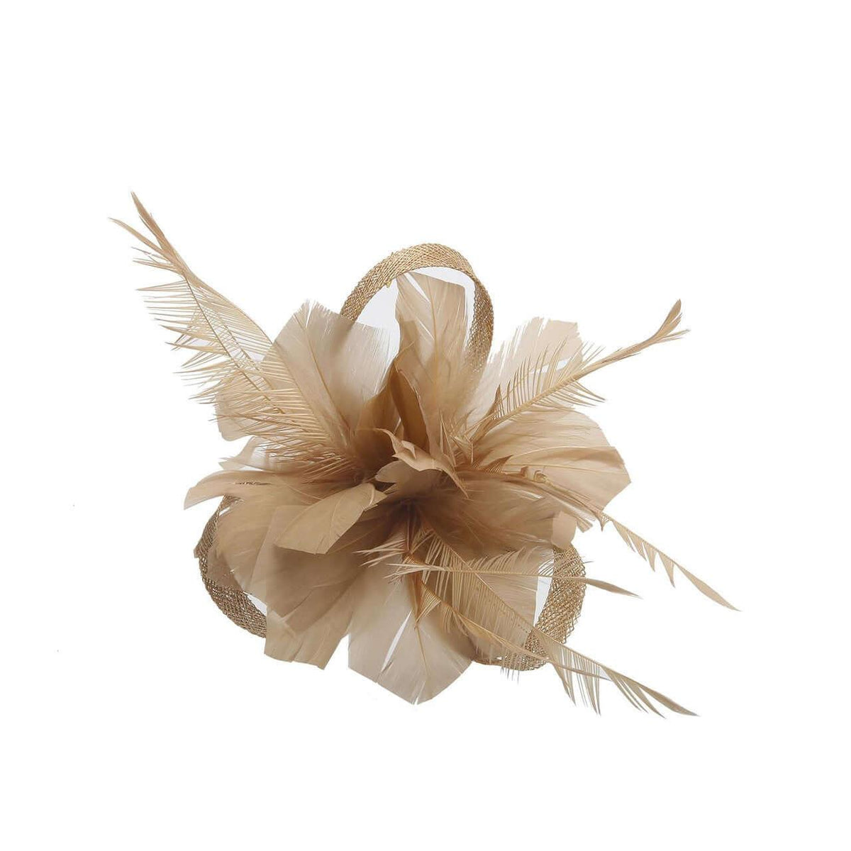Charlotte Fascinator Clip