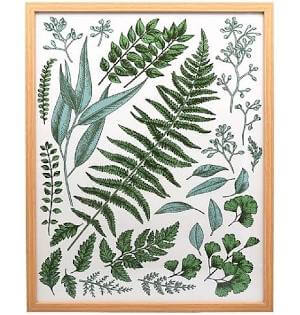 Wood Framed Print 50cm - Leaf Study
