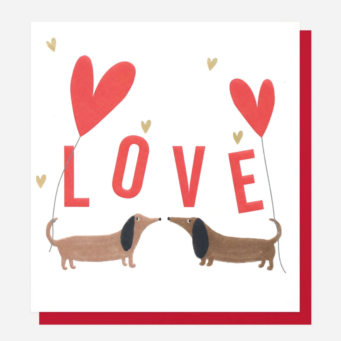 Caroline Gardner Love Sausage Dogs Valentines Card