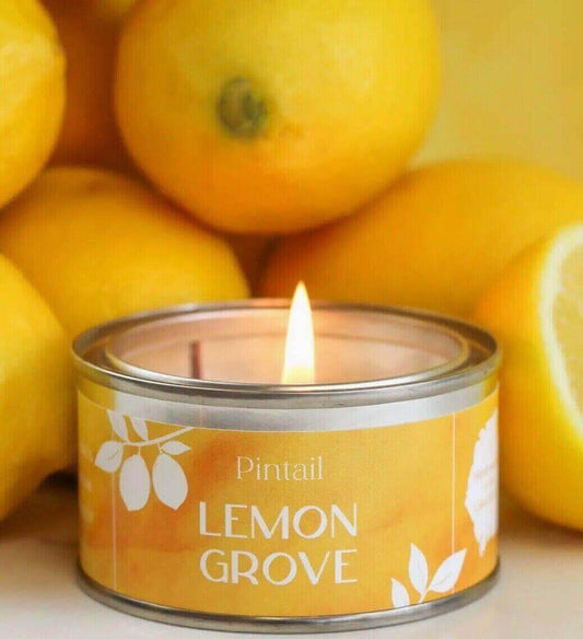 Discover the Perfect Lovely Home Fragrance with Pintail Candles