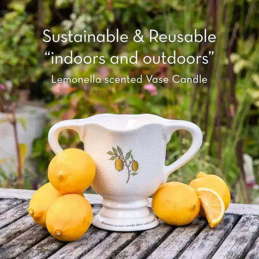 William Morris at Home 