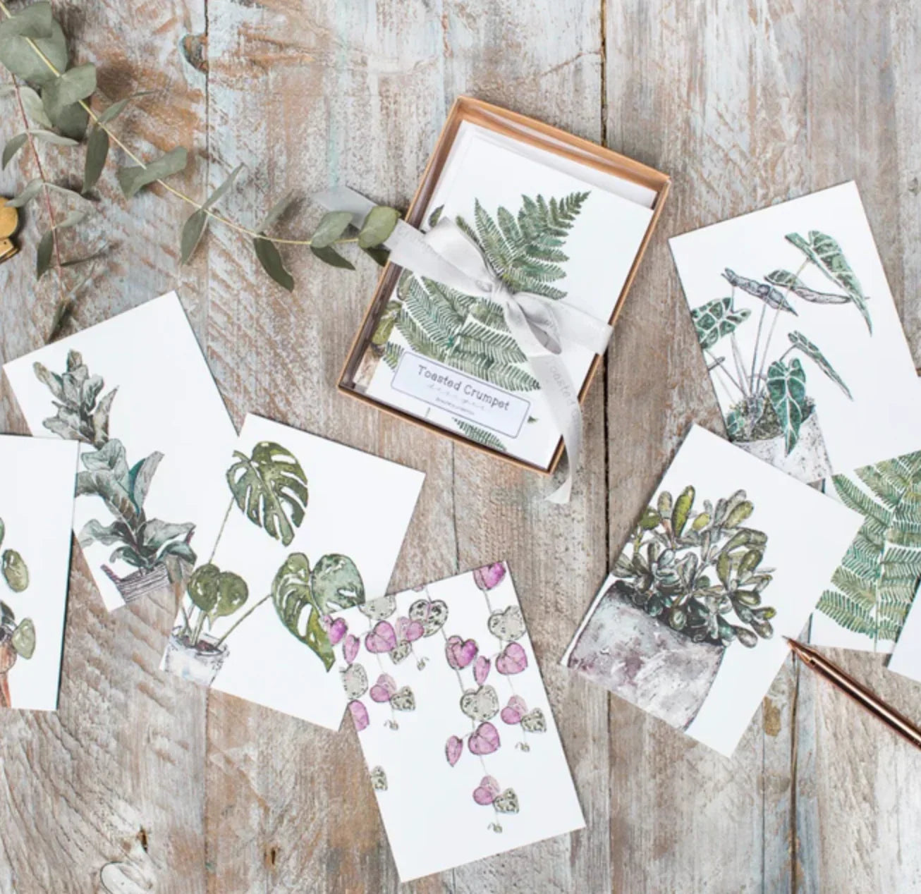 Greetings Cards, birthday