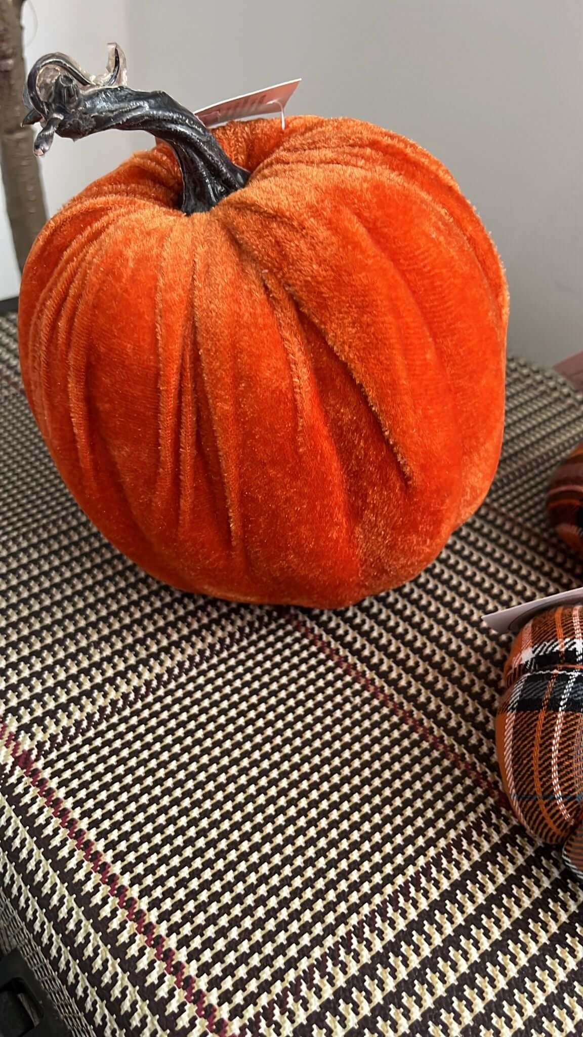 Velvet Feel Pumpkin