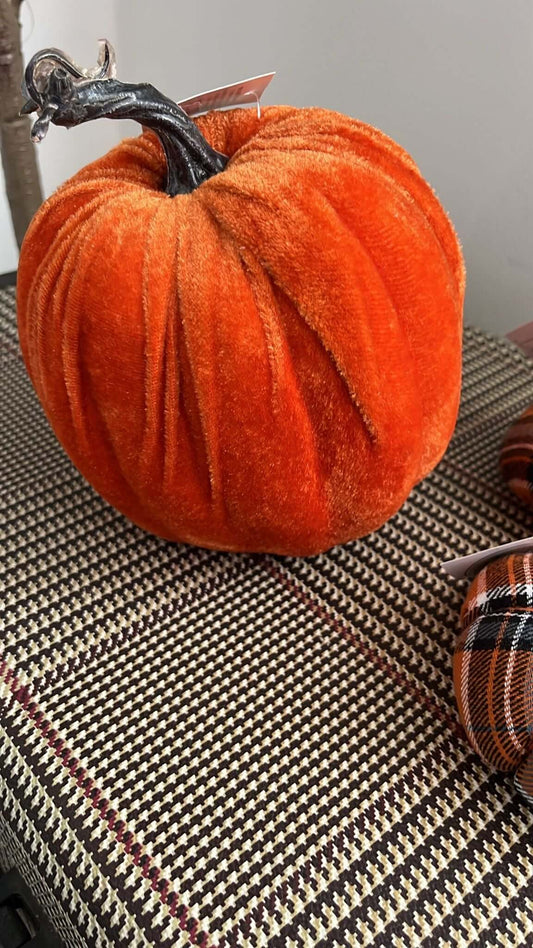 Velvet Feel Pumpkin