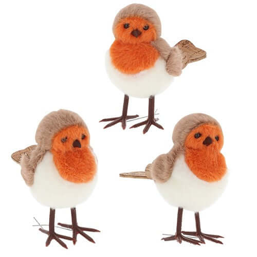 Country Robin Standing