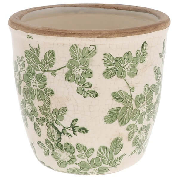 Clematis Garden Small Planter