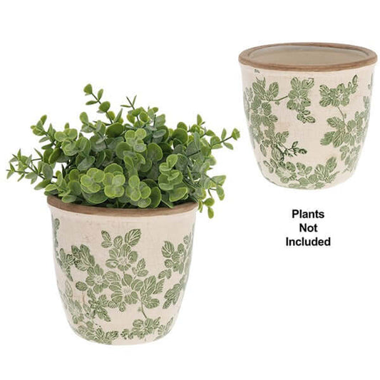 Clematis Garden Small Planter