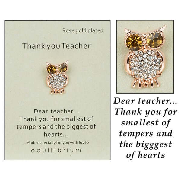 Equilibrium Sentiment Pin Brooch Teacher