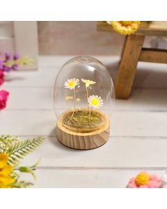 Glass Egg Dome with 3 Daisies LED Ornament