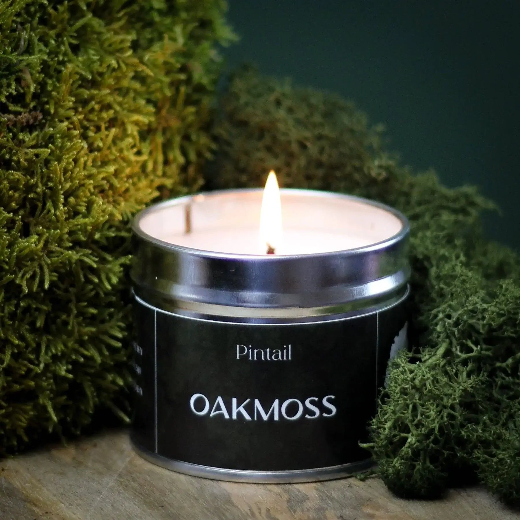 Pintail Candles - Oakmoss Classic Pot