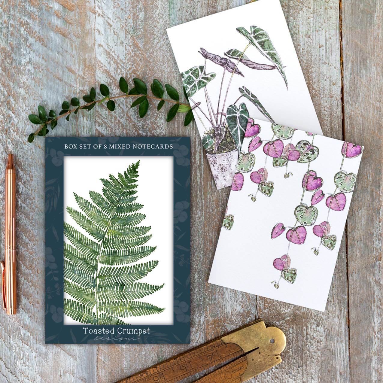 “Greenery” Boxed Set of 8 mixed plain greetings cards (100% Plastic Free)