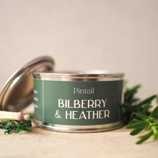 Pintail Candles - Bilberry & Heather Paint Pot