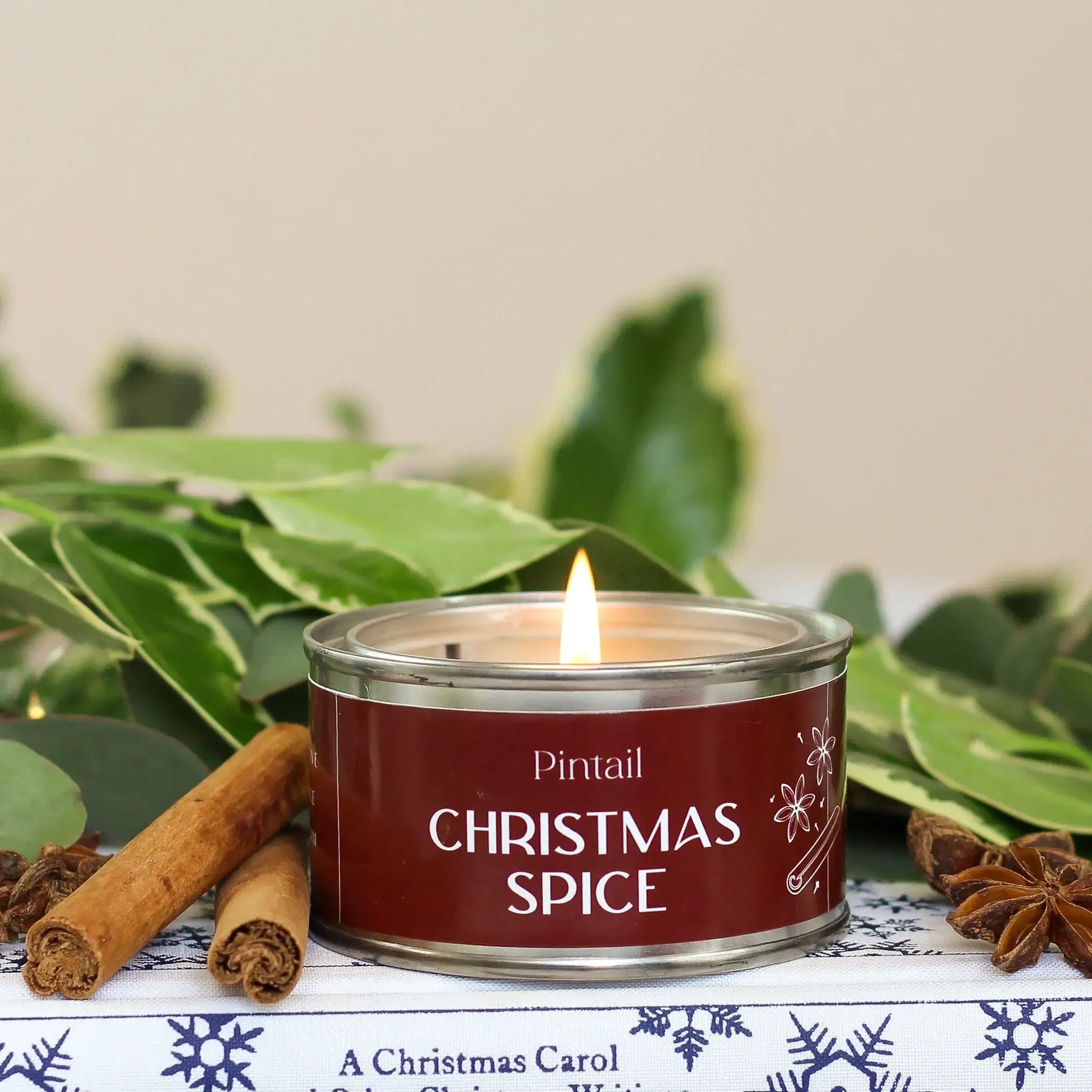 Pintail Candles - Christmas Spice Paint Pot