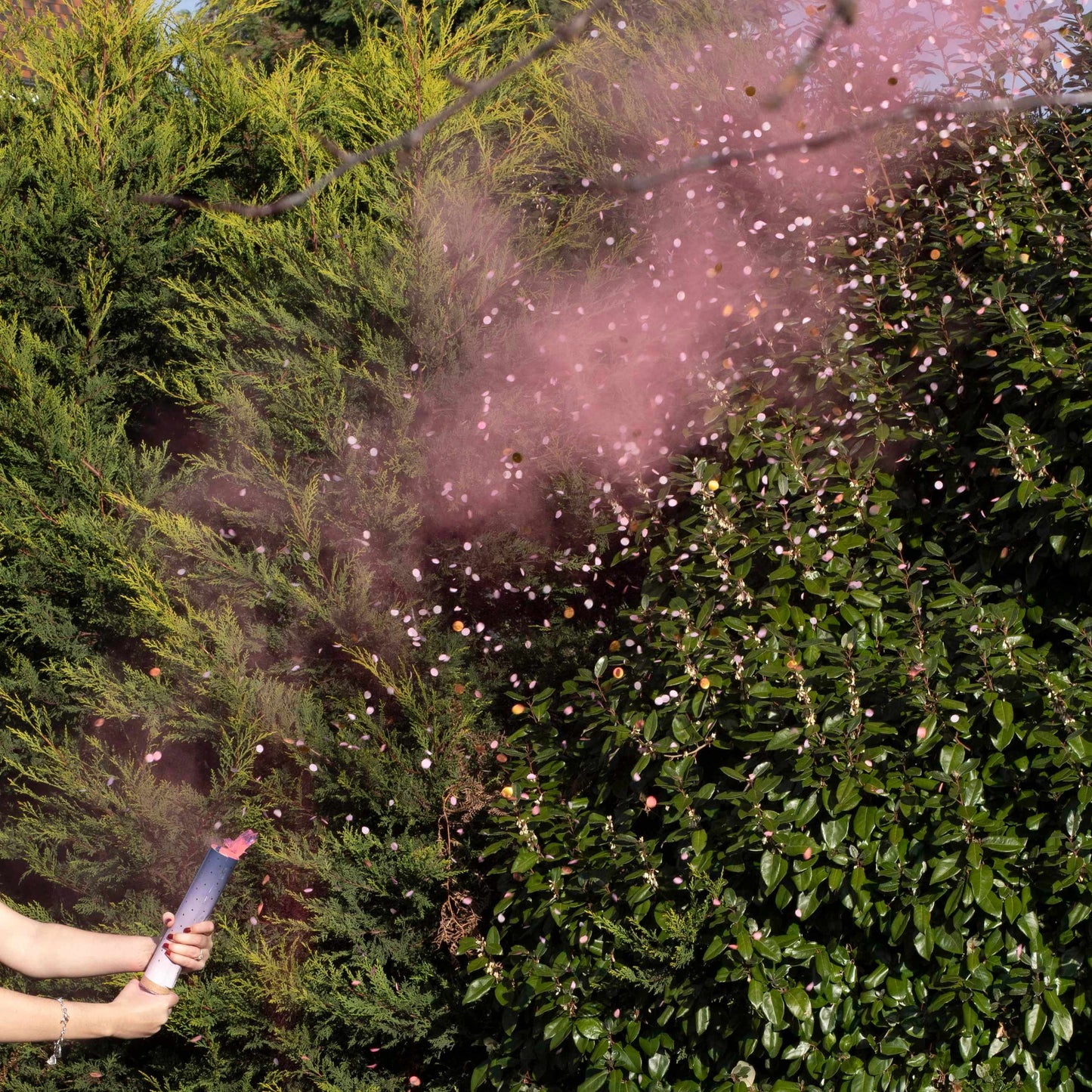 Pink Gender Reveal Smoke Cannon With Confetti