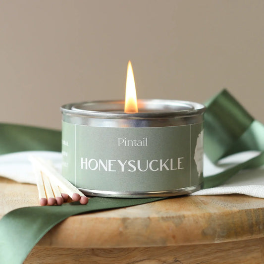 Pintail Candles - Honeysuckle Paint Pot
