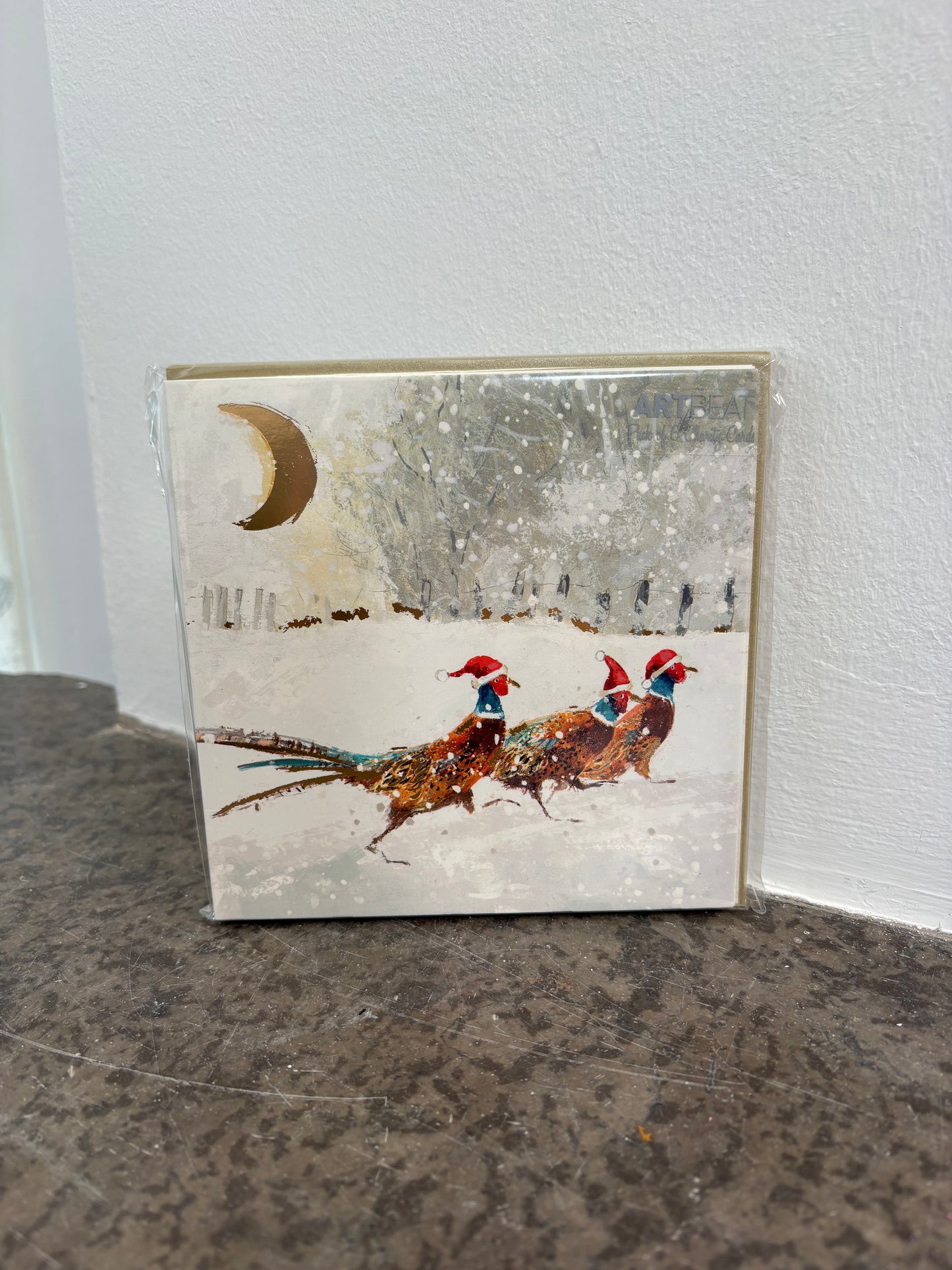 Santa Dash Cristmas Cards - Pack of 6