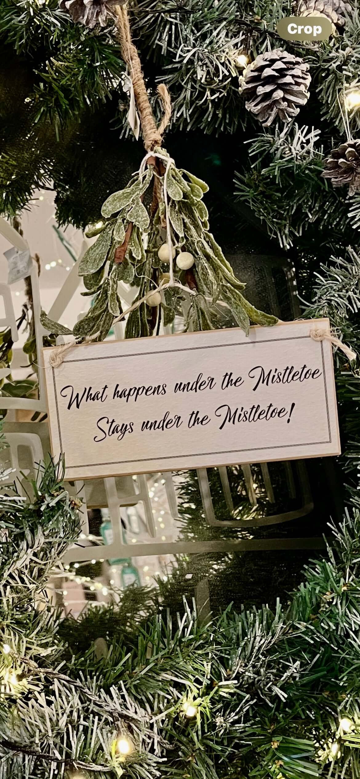 'Under The Mistletoe' - Wooden Sign