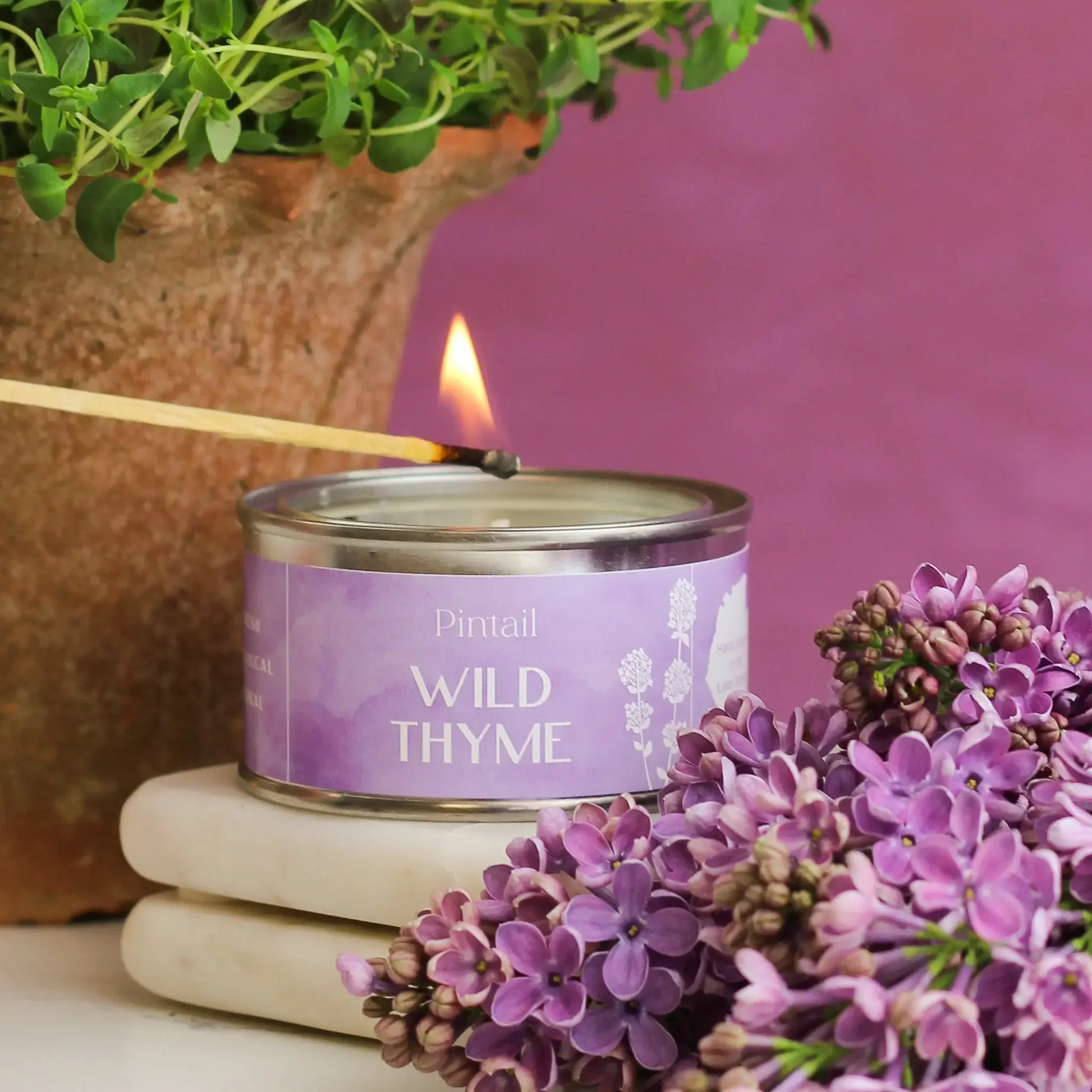 Pintail Candles - Wild Thyme Paint Pot