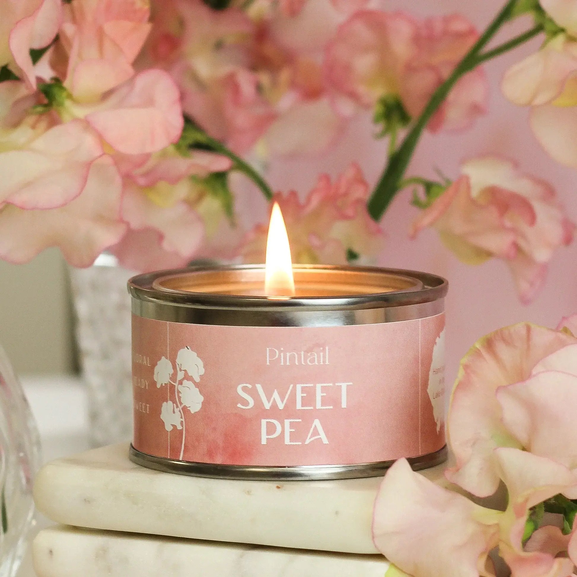 Pintail Candles - Sweet Pea Petite Paint Pot