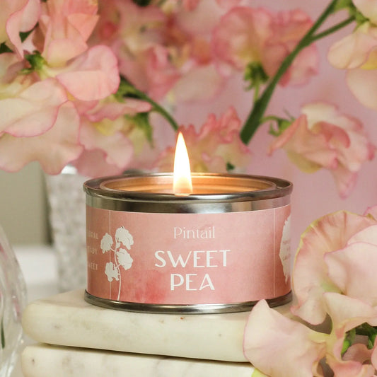 Pintail Candles - Sweet Pea Petite Paint Pot