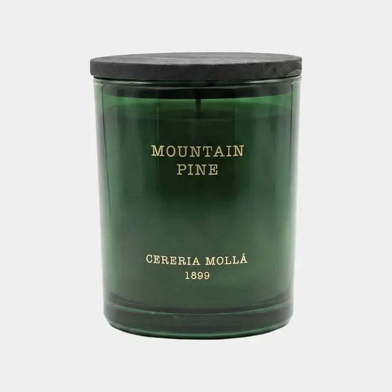 Cereria Mollà 1899 Xmas Candle Mountain Pine