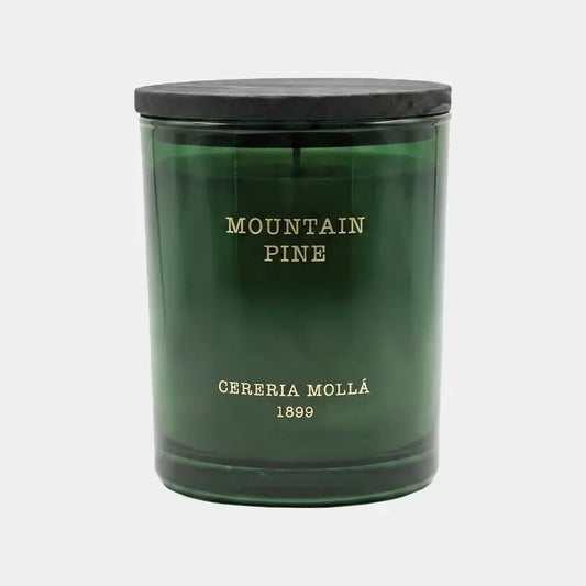 Cereria Mollà 1899 Xmas Candle Mountain Pine