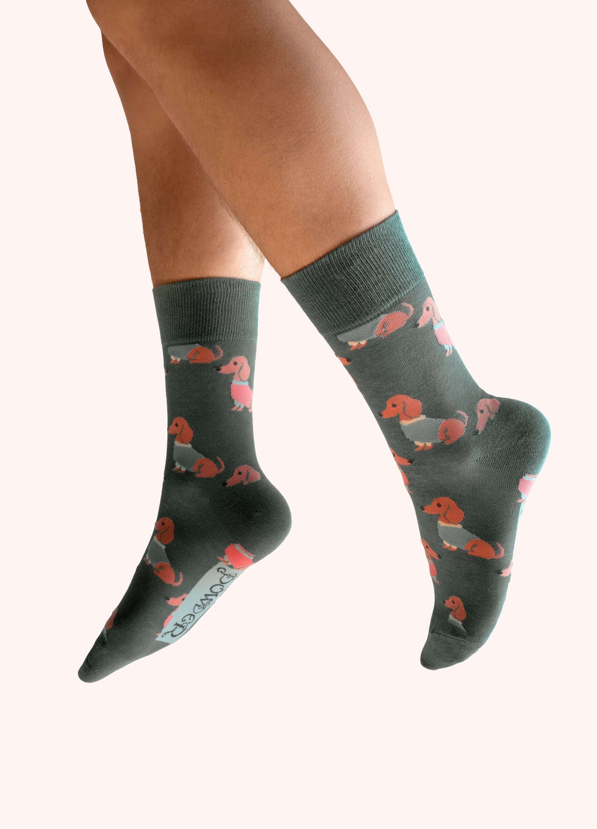Powder Design Men's socks - Snuggly Sausage Dogs