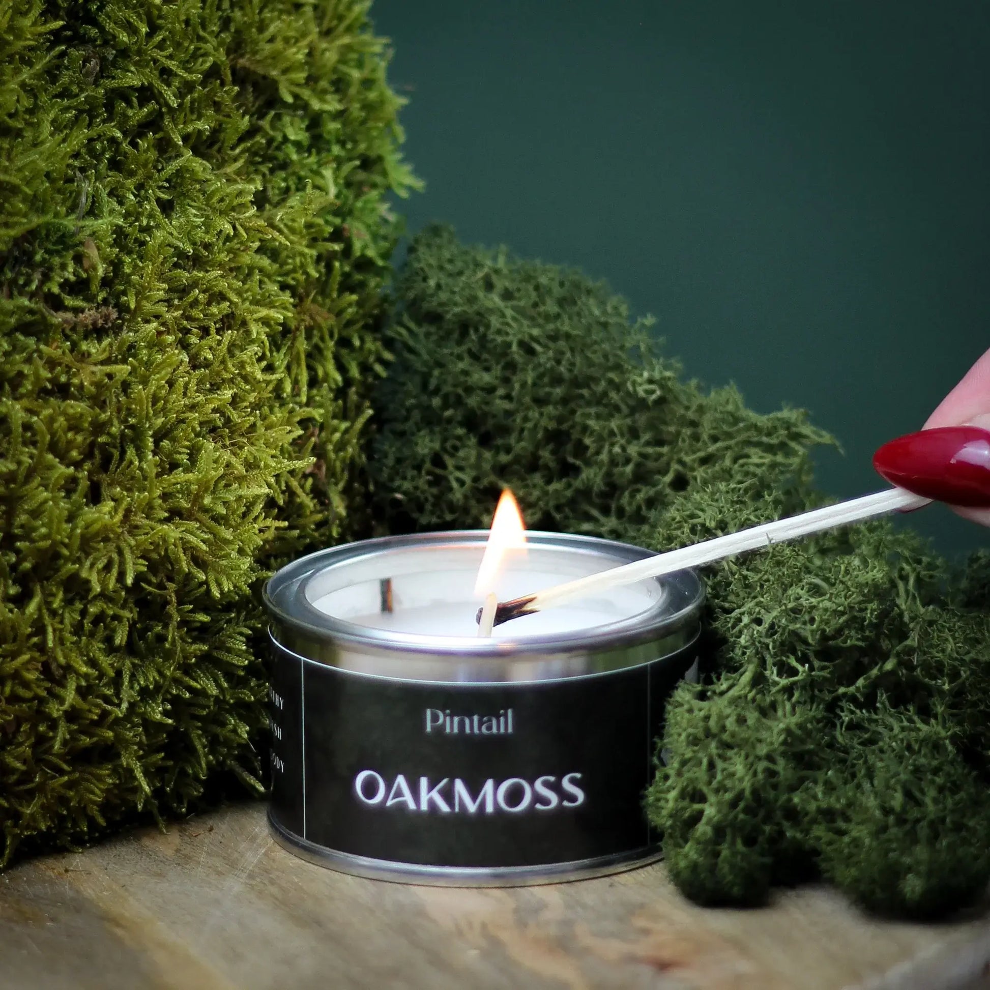 Pintail Candles - Oakmoss Paint Pot