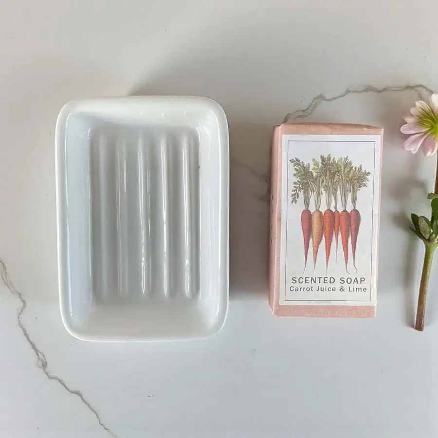 Biggie Best - Soap & Dish Pack - Carrot & Lime