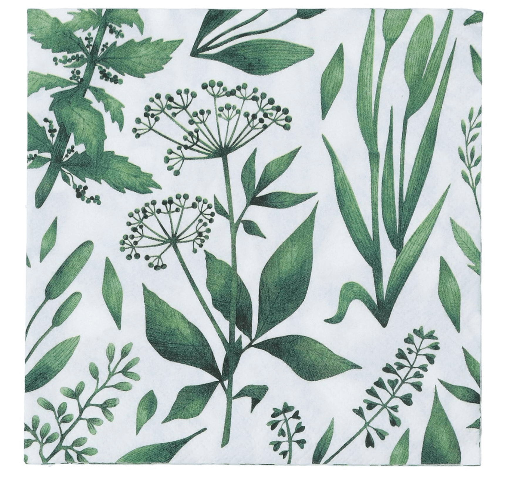 Pack of 20 Paper Napkins - Botanics