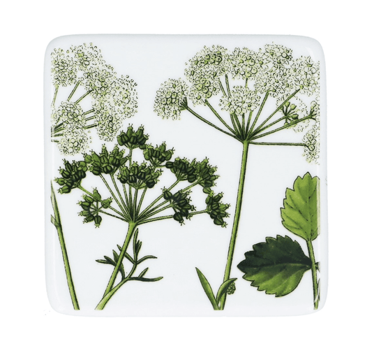 Porcelain China Coaster - Spring Hedgerow