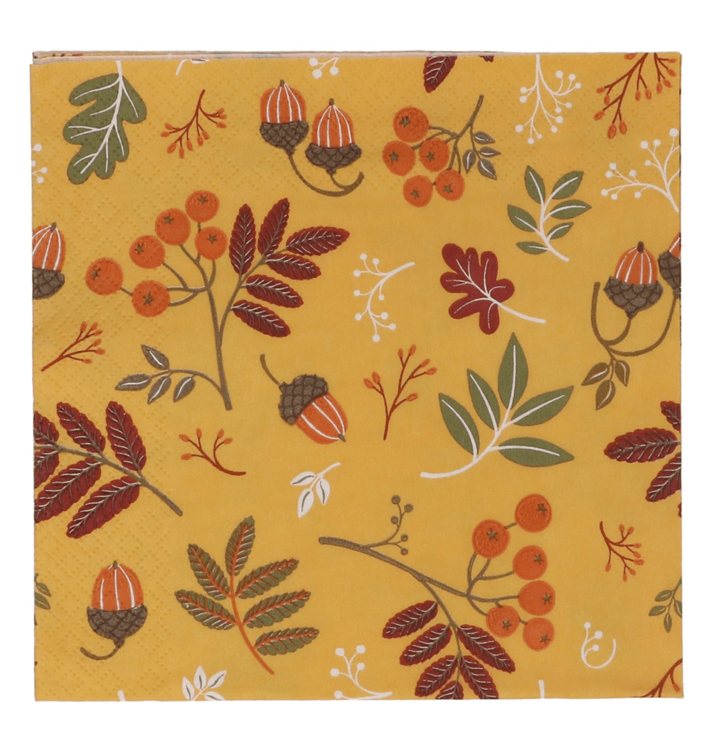 Pack of 20 Paper Napkin 16cm - Acorn & Berry