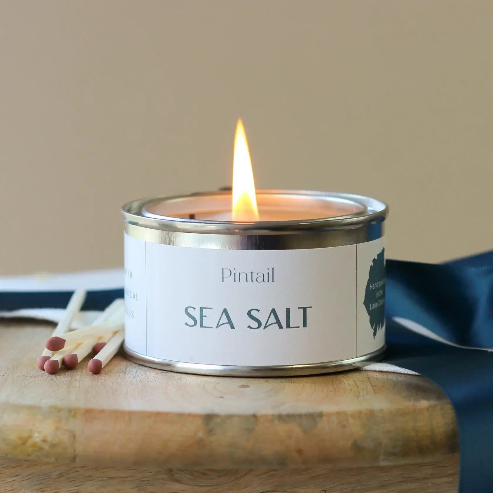 Pintail Candles - Sea Salt Paint Pot