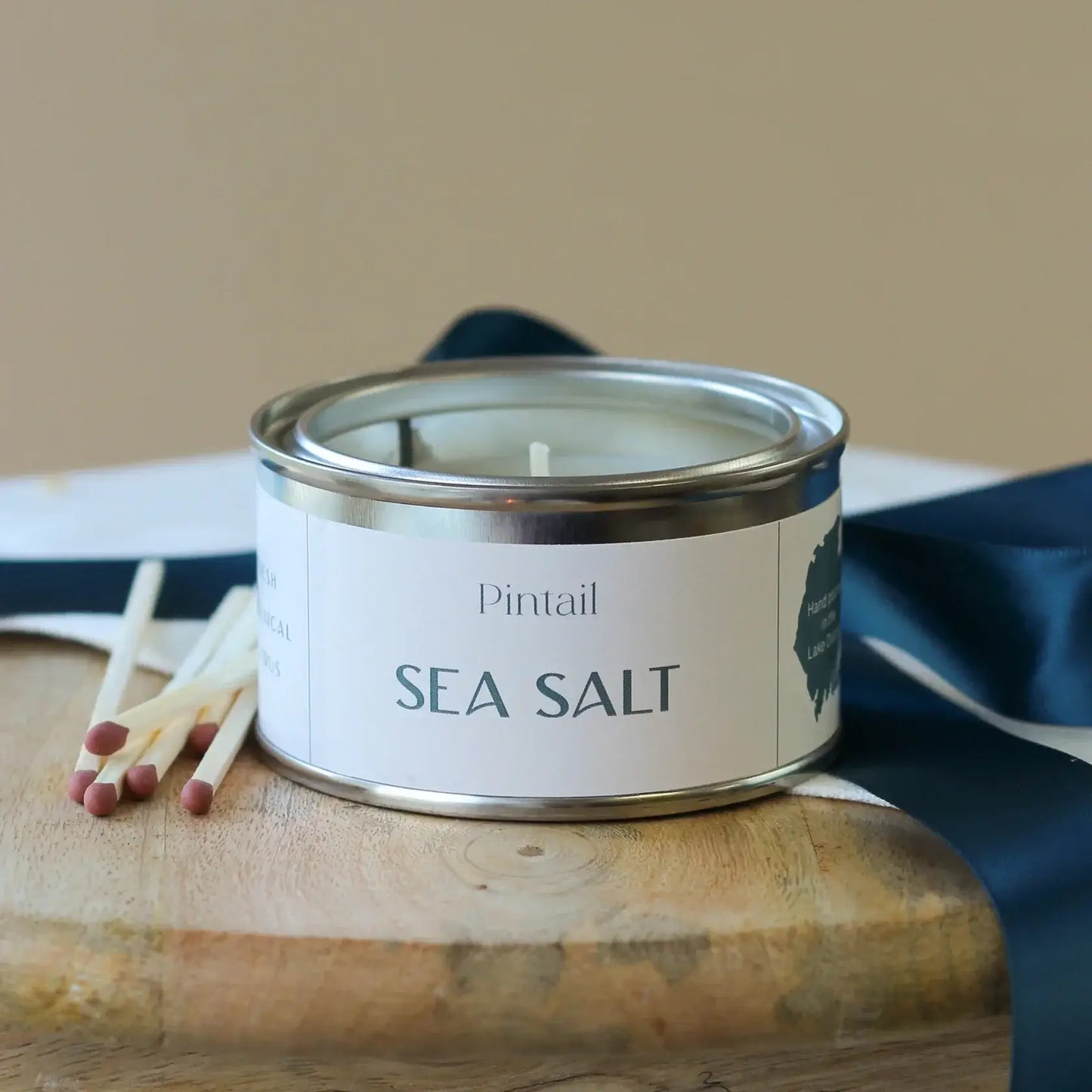Pintail Candles - Sea Salt Paint Pot