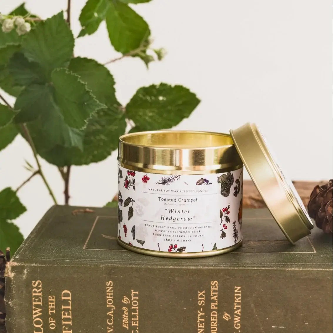 Winter Hedgerow Candle in a Matt Gold Tin