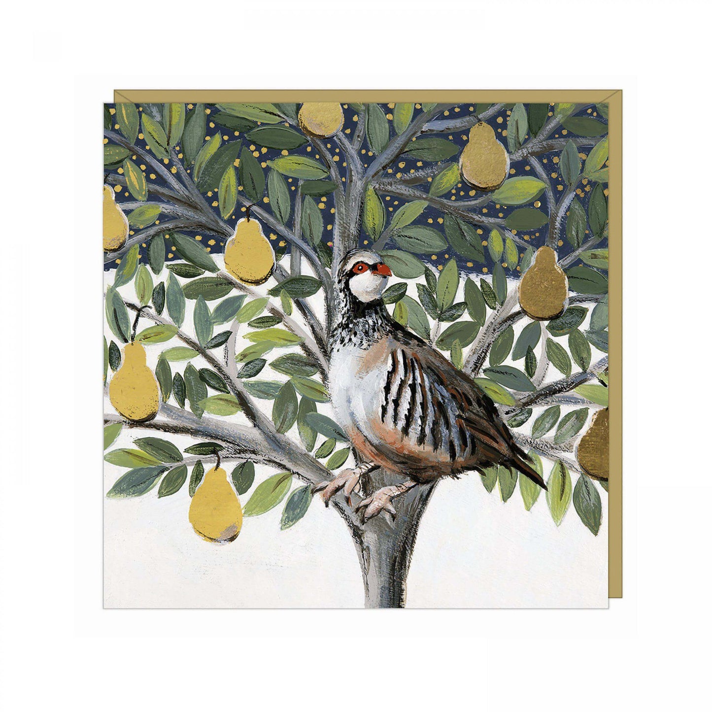 Golden Partridge Greetings Card (Pack of 6)