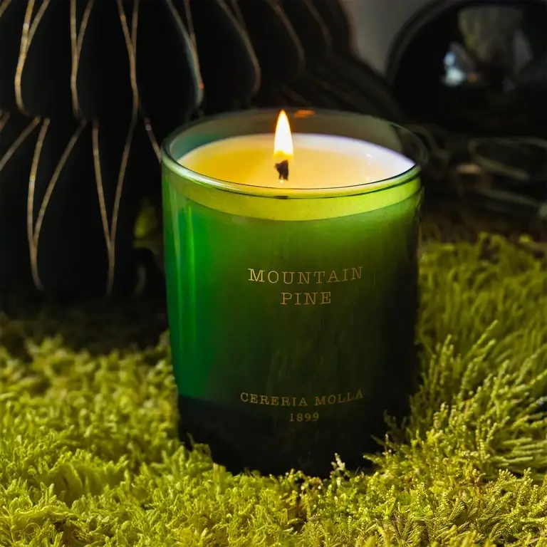 Cereria Mollà 1899 Xmas Candle Mountain Pine