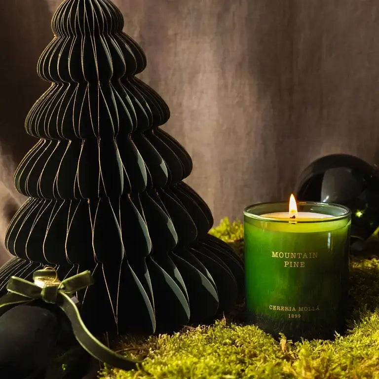 Cereria Mollà 1899 Xmas Candle Mountain Pine