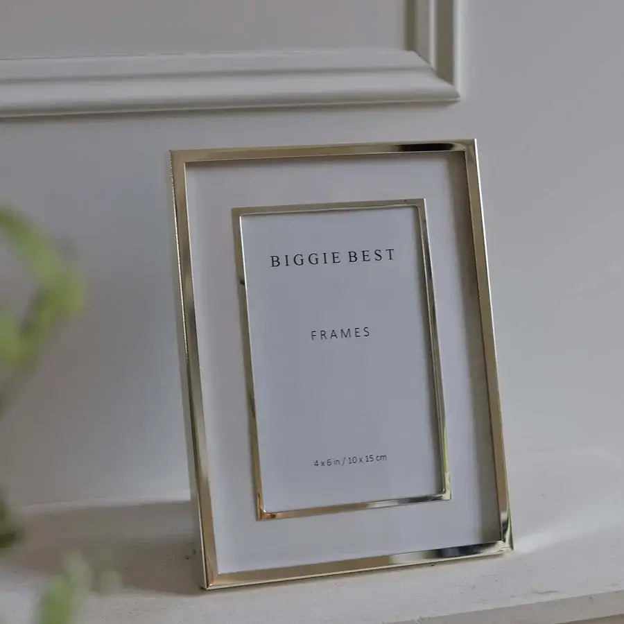 Biggie Best - 4X6 Double Border Silver Frame