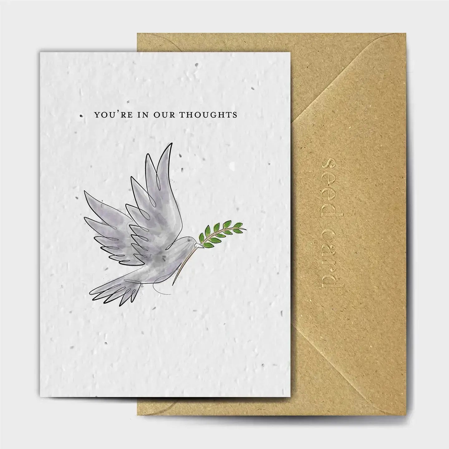 Seed Card Company - A better looking Pigeon