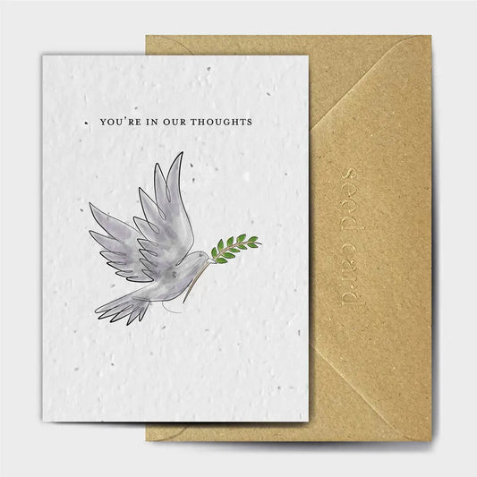 Seed Card Company - A better looking Pigeon