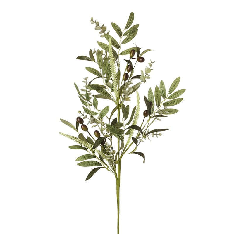 Tall Olive Leaves Branch